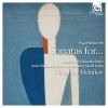 Download track Sonata For Violin And Piano - II. Langsam - Sehr Lebhaft - Langsam - Wieder