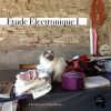 Download track Le Bal Masque (Catz 'n Dogz Mix)
