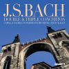 Download track Concerto For Violin And Oboe In D Minor, BWV 1060R II. Adagio