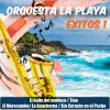 Download track Mosaico Grandes Exitos 2: La Pollera Colorá / La Plaga / Brasil / Su Ma Su Ma / La Cachimba De San Juan / Veneración / La Maestranza / La Manzana / Azucena / Disparate Musical