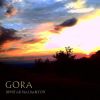 Download track Gora