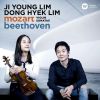 Download track Violin Sonata No. 21 In E Minor, K. 304: I. Allegro