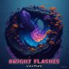 Download track Bright Flashes (Instrumental Version)