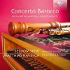 Download track Organ Concerto No. 1 In G Minor, Op. 4, Hvw 289: I. Larghetto E Staccato