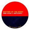 Download track Rhythm Of The Night (Radio Edit)