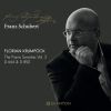 Download track Franz Schubert Sonata In B Major, D. 850 III. Scherzo - Allegro Vivace - Trio