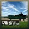 Download track At Peace