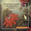 Download track Sinfonia In G Major, TWV 50: 1 