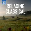 Download track Violin Sonata No. 25 In F Major, Op. 2 No. 3, K. 377 II. Theme And Variations. Andante