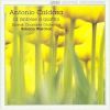 Download track 40. Sinfonia No. 12 'La Passione Di Gesù Signor Nostro' In A Minor - Allegro