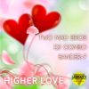 Download track Higher Love (Extended Instrumental Mix)