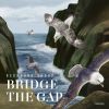 Download track Bridge The Gap