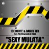 Download track Sexy Mulata (Pee4Tee, R. K. R. De Cuba) [Radio Edit]