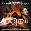 Download track Burn (Radio Edit)