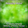 Download track Relaxation Music Pt. 14