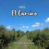 Download track Calditos De Verdura