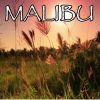 Download track Malibu - Tribute To Miley Cyrus