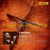 Download track Christ Lag In Todesbanden, BWV 4: I. Sinfonia