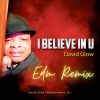 Download track I Believe (EDM Remix)