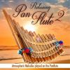 Download track Champagne On Ice (Relaxing Panflute)