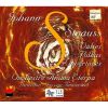 Download track 10. An Der Schönen Blauen Donau On The Beautiful Blue Danube Waltz For Orchestra With Chorus Ad Lib Op. 314 RV 314