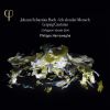 Download track Sie Werden Euch In Den Bann Tun- BWV 44 - Recitative- Es Sucht Der Antichrist (Bass)