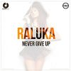 Download track Never Give Up