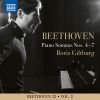 Download track Piano Sonata No. 7 In D Major, Op. 10 No. 3 (Ludwig Van Beethoven): IV. Rondo. Allegro