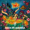Download track Agua De Jamaica