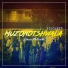 Download track Muzonotshwala (Radio Edit)