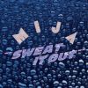 Download track Sweat It Out
