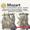 Download track Horn Concerto No. 4 In E-Flat Major, K. 495 III. Rondo (Allegro Vivace)