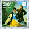 Download track Sonata D-Moll K 64 - Gavotta. Allegro