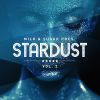 Download track Stardust Pt 1 (Milk & Sugar Dj Mix)