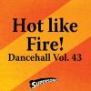 Download track Hot Like Fire