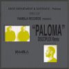 Download track Paloma (Discoplex Radio Edit Remix)