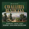 Download track Cavalleria Rusticana, Scene 1: Ah! Gli Aranci Olezzano Sui Verdi Margini (Live)