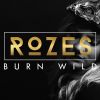 Download track Burn Wild