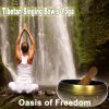 Download track The Art And Soul Of Mindfulness (Tibetan Bowl Session)
