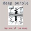 Download track Rapture Of The Deep (Live)