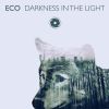 Download track Darkness In'the Light (Extended Mix)