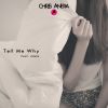 Download track Tell Me Why (Radio Edit; Club Mix)
