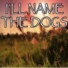Download track I'll Name The Dogs - Tribute To Blake Shelton (Instrumental Version)