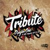 Download track Tribute (Sub Alpine Remix)