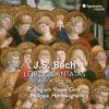 Download track 13 - Ich Freue Mich In Dir, BWV 133- Choral ''Ich Freue Mich In Dir''