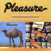 Download track Pleasure For Your Pleasure
