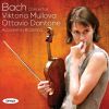 Download track J. S. Bach - Violin Concerto In A Minor BWV 1041 - II. Andante