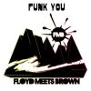 Download track Funk You