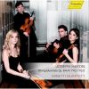 Download track 10. String Quartet In D Major Op. 765 - II. Largo. Cantabile E Mesto