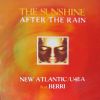 Download track The Sunshine After The Rain (Dancin' Divaz Club Mix)
